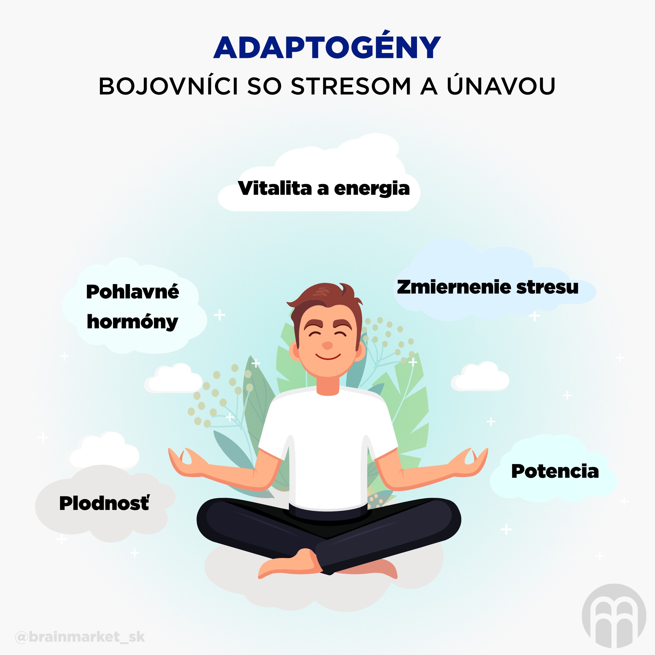 adaptogeny_infografika_sk